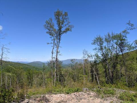 7900 Castile Rd, Covington, VA 24426 photo 7
