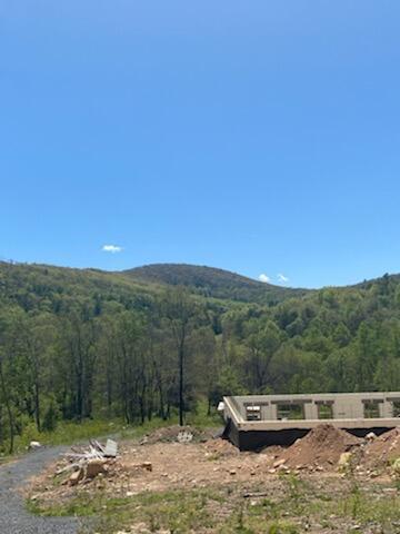 7900 Castile Rd, Covington, VA 24426 photo 4