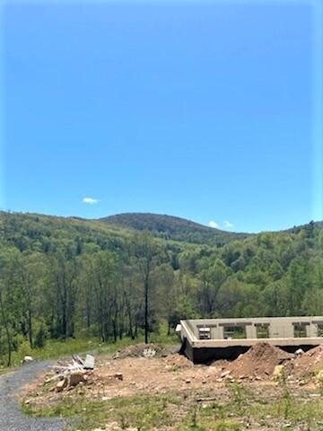 7900 Castile Rd, Covington, VA 24426 photo 8