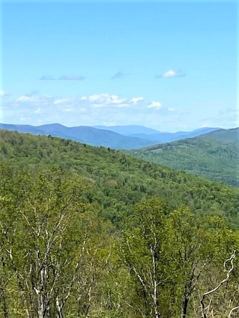 7900 Castile Rd, Covington, VA 24426 photo 3