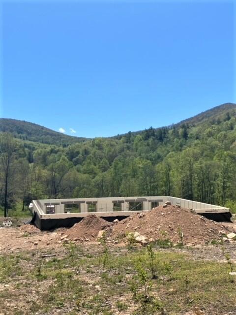 7900 Castile Rd, Covington, VA 24426 photo 2