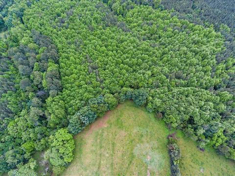 2869 Ayers Rd, Moneta, VA 24121 photo 60
