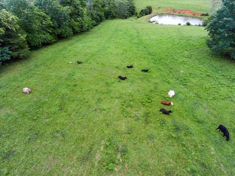 2869 Ayers Rd, Moneta, VA 24121 photo 68