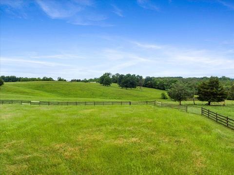 2869 Ayers Rd, Moneta, VA 24121 photo 96
