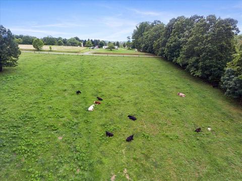 2869 Ayers Rd, Moneta, VA 24121 photo 69