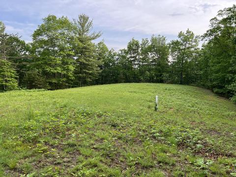 0 Frontier Ln, Covington, VA 24426 photo 6