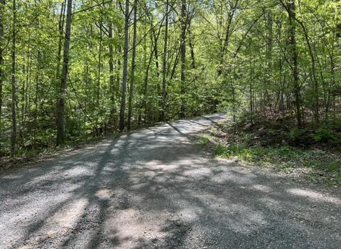 0 Frontier Ln, Covington, VA 24426 photo 5