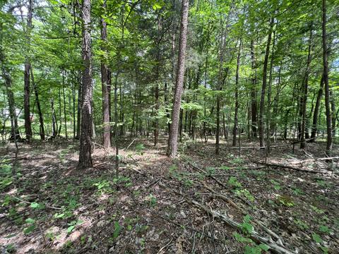 Lot 5 Buccaneer Rd, Moneta, VA 24121