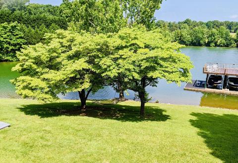 285 Waterside Dr, Moneta, VA 24121 photo 15