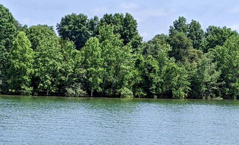 285 Waterside Dr, Moneta, VA 24121 photo 29