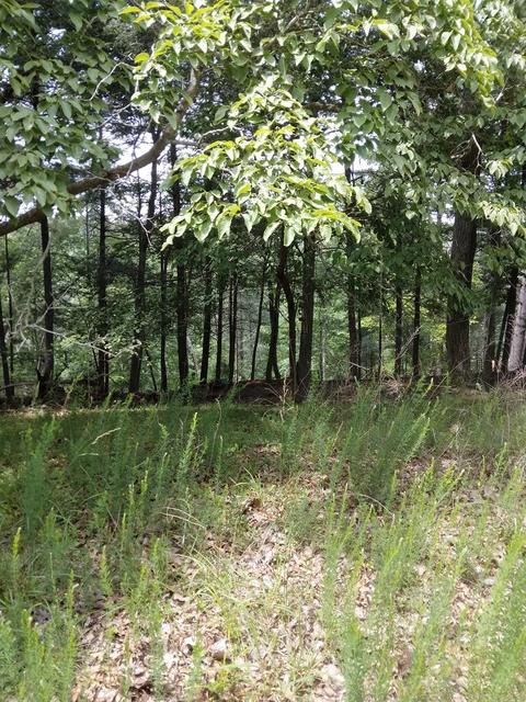 Lot 103 Bailey Blvd, Hardy, VA 24101