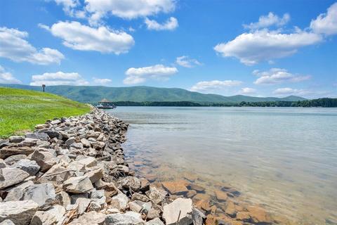 6605 Smith Mountain Rd #231, Penhook, VA 24137 photo 40