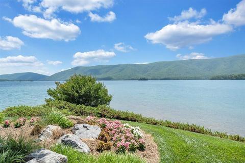 6605 Smith Mountain Rd #231, Penhook, VA 24137 photo 26