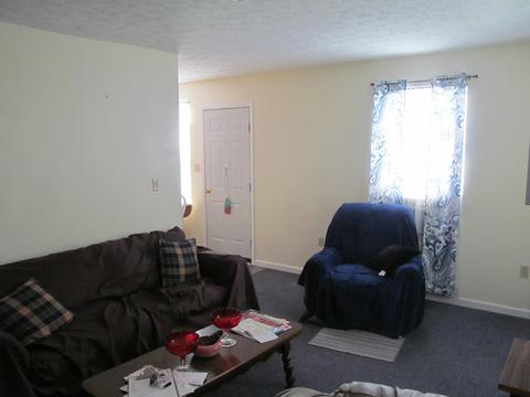 221 E Locust St, Covington, VA 24426 photo 4