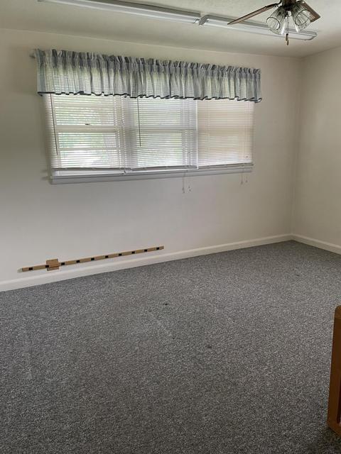 706 Carlyle St, Covington, VA 24426 photo 11