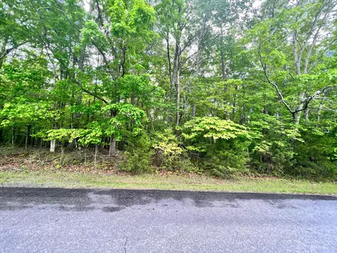 lot S 1 2 Mallard Point Rd, Wirtz, VA 24184
