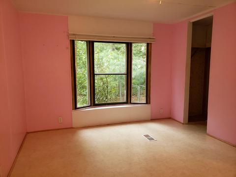 295 Clydes Run, Eagle Rock, VA 24085 photo 9