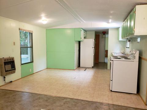 295 Clydes Run, Eagle Rock, VA 24085 photo 6