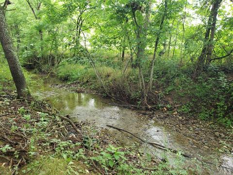 295 Clydes Run, Eagle Rock, VA 24085 photo 17