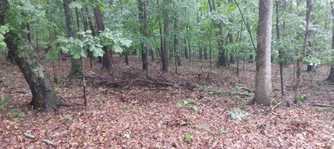 Lot 1 Charmwood Cir, Moneta, VA 24121