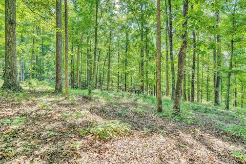 5840 Goodview Rd, Goodview, VA 24095 photo 28