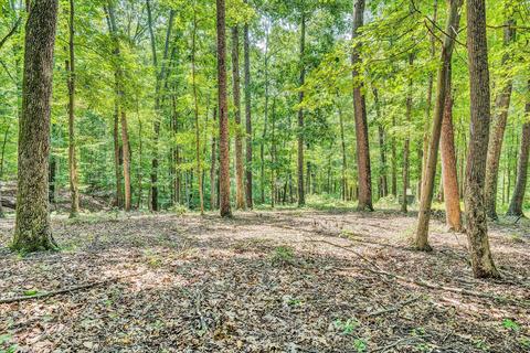 5840 Goodview Rd, Goodview, VA 24095 photo 33