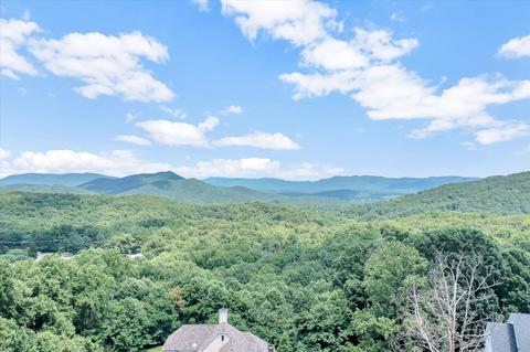6755 Christopher Dr, Roanoke, VA 24018 photo 49