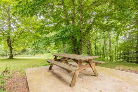 1353 Woods Gap Rd SE, Floyd, VA 24091 photo 35