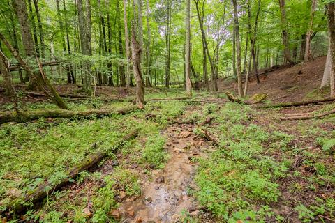332 Merifield Rd NW, Willis, VA 24380 photo 70