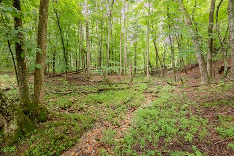 332 Merifield Rd NW, Willis, VA 24380 photo 69