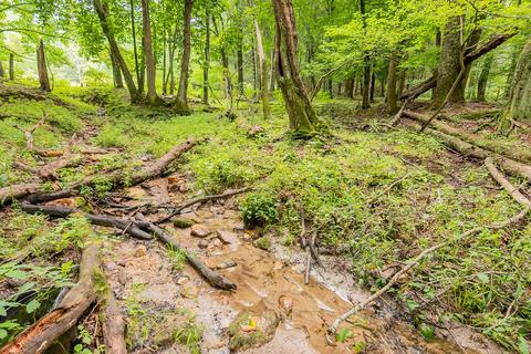 332 Merifield Rd NW, Willis, VA 24380 photo 72