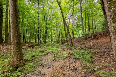 332 Merifield Rd NW, Willis, VA 24380 photo 73