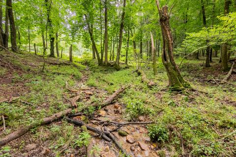 332 Merifield Rd NW, Willis, VA 24380 photo 71