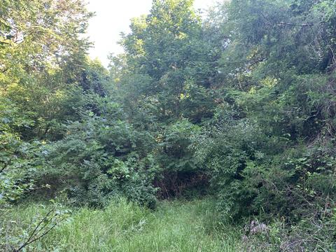 6912 Plank Rd, Buchanan, VA 24066 photo 12