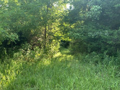 6912 Plank Rd, Buchanan, VA 24066 photo 10