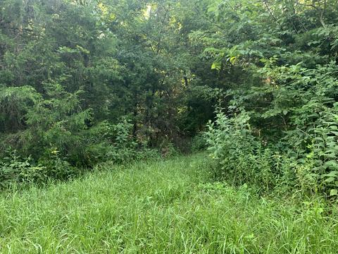 6912 Plank Rd, Buchanan, VA 24066 photo 9