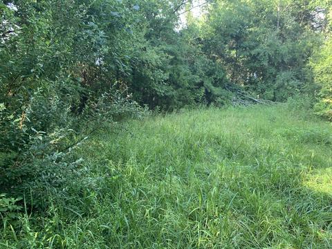 6912 Plank Rd, Buchanan, VA 24066 photo 8