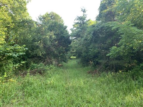 6912 Plank Rd, Buchanan, VA 24066 photo 11