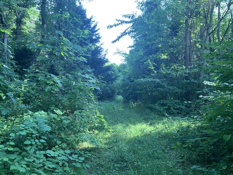6912 Plank Rd, Buchanan, VA 24066 photo 7