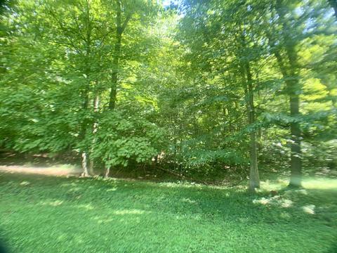 4603 Johnson Creek Rd, Covington, VA 24426 photo 9
