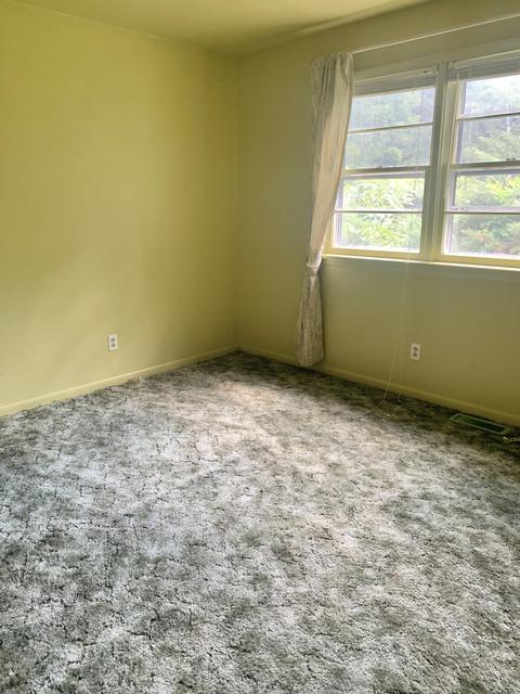 4603 Johnson Creek Rd, Covington, VA 24426 photo 24