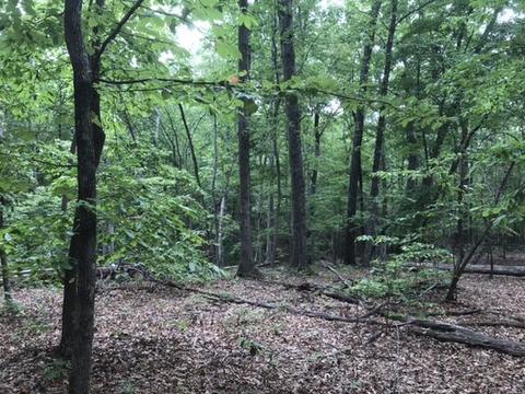 480 Liberty Rd, Penhook, VA 24137 photo 17