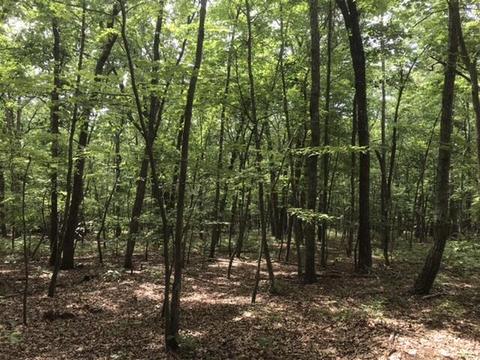 480 Liberty Rd, Penhook, VA 24137 photo 19