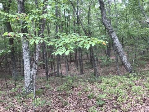 480 Liberty Rd, Penhook, VA 24137 photo 13