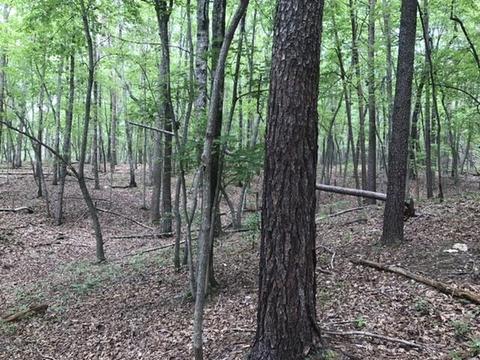 480 Liberty Rd, Penhook, VA 24137 photo 10