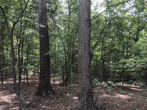 480 Liberty Rd, Penhook, VA 24137 photo 21