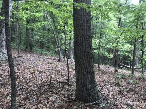 480 Liberty Rd, Penhook, VA 24137 photo 16
