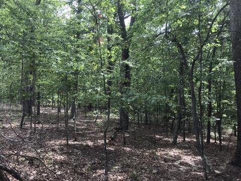 480 Liberty Rd, Penhook, VA 24137 photo 22