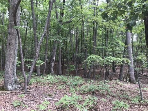 480 Liberty Rd, Penhook, VA 24137 photo 29