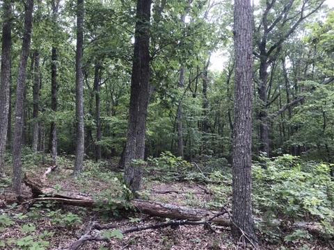 480 Liberty Rd, Penhook, VA 24137 photo 25